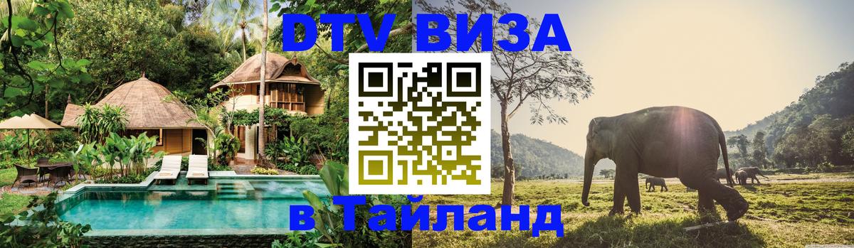 Оформление DTV визы под ключ: стоимость и тарифы, только загранпаспорт - 